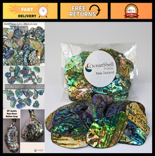 Abalone shell pieces for - abalone,