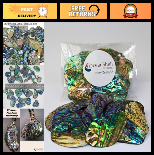 Abalone shell pieces for - shell,
