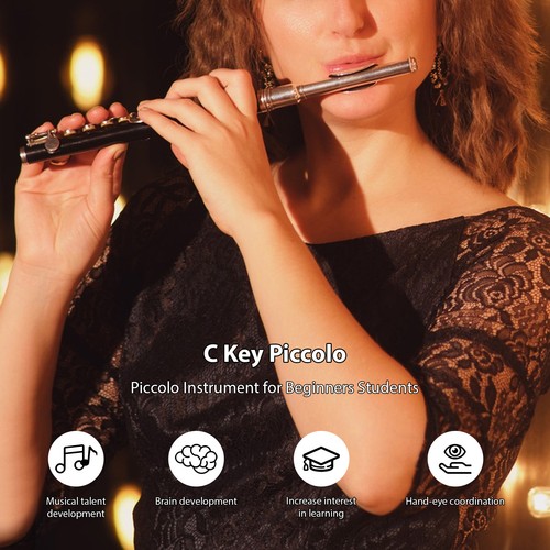 Piccolo instrument abs - piccolo, tubing