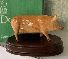 ROYAL DOULTON  PIG  TAMWORTH