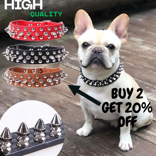 Spiked studded leather dog - spiked,