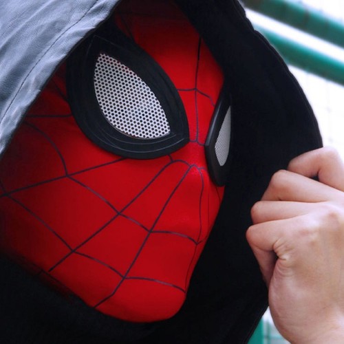 Beast kingdom spiderman - beast,