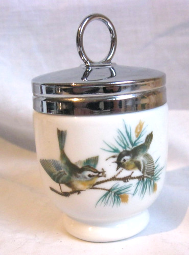 Royal worcester bird - bird,