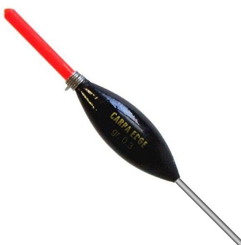 Daiwa carpa edge - edge, pole