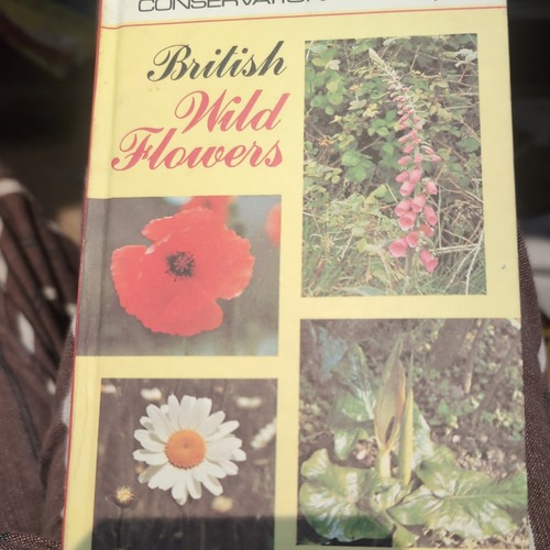 Ladybird books vintage - ladybird,