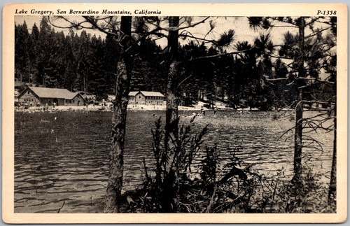 Vintage postcard forest - vintage,