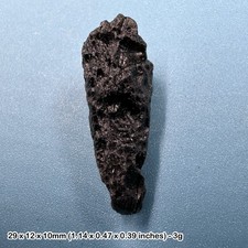 Genuine Tektite Meteorite