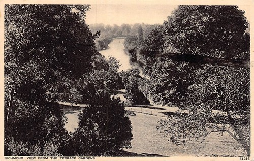 Family history postcard - -,