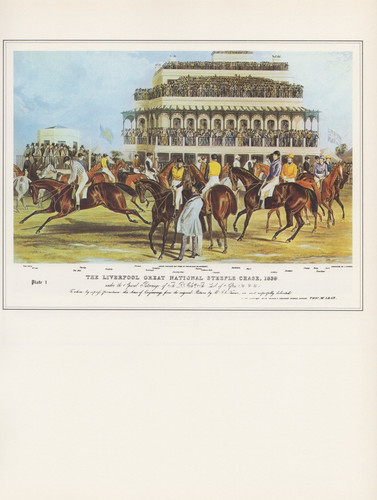 1974 vintage horse race - horse,