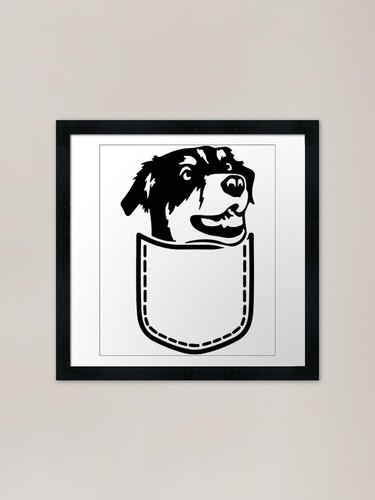 Australian shepherd dog - australian,