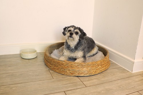 Wicker pet bed natural woven - natural,