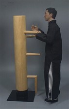 Man wing chun stun - 1/6,
