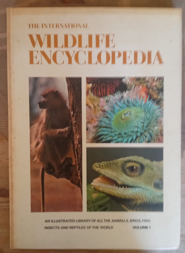 The international wildlife - the,
