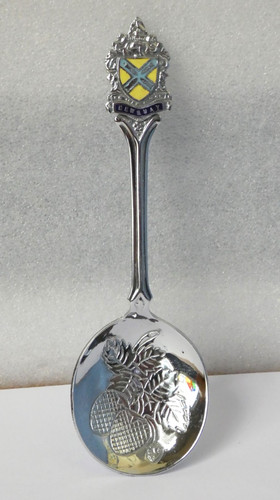 Collectible souvenir spoon - collectible,