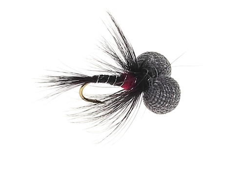 Cruncher booby flies black - booby,
