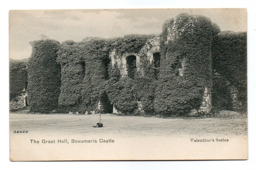 Vintage beaumaris castle - vintage,