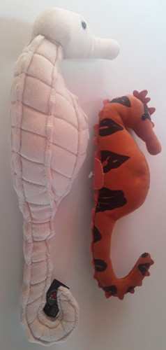 Seahorse plush realistic - plush,