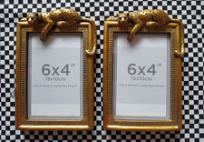 Gold Leopard Cheetah Photo