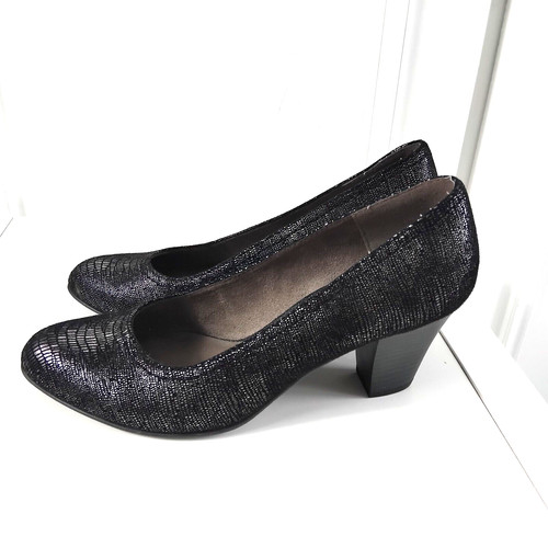 Metallic black silver snake