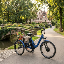 Electric Cargo Tricycle 24"