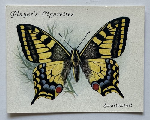 Players british butterflies - players,