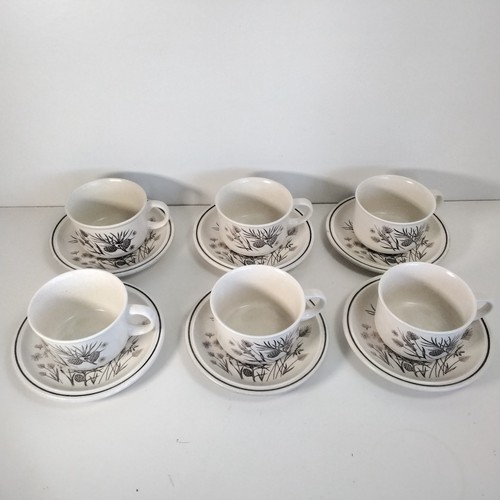 Grindley pinewood cups - w, h