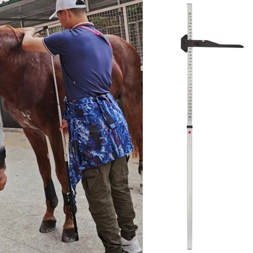 Horse height measuring stick - horse,