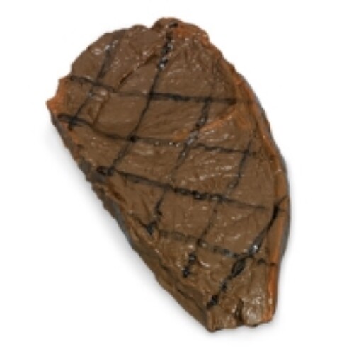 Fake food prop grilled - prop, ribeye
