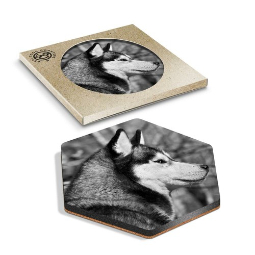 Hexagon coaster bw - -,