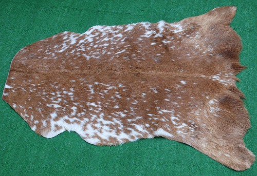 Luxury goat hide - hide, hair
