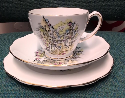 Roslyn fine bone china teacup - roslyn,