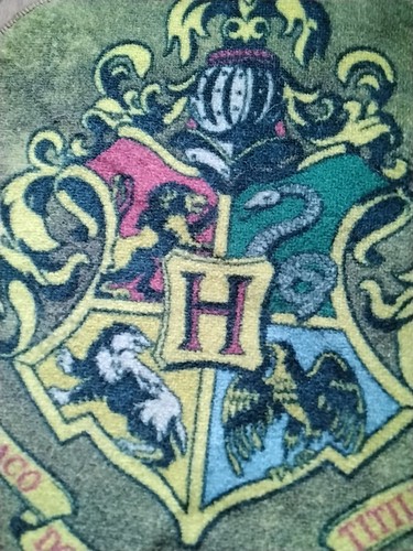 Harry potter hogwarts rug - harry,