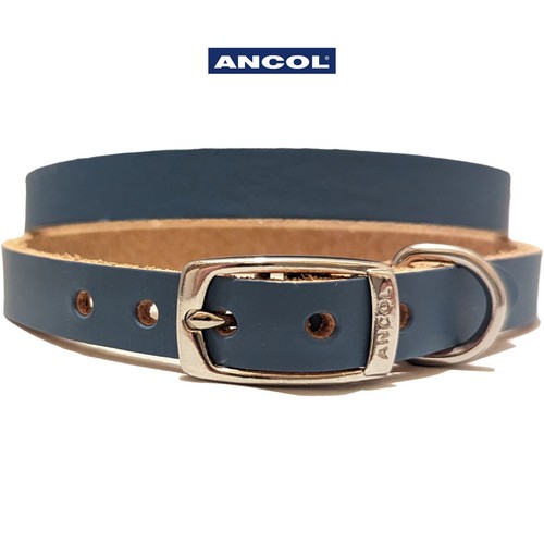 Dog collar blue leather ancol - dog,