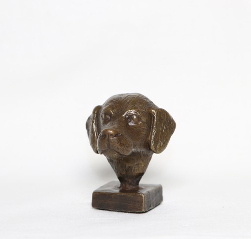 Labrador head solid hot - labrador,