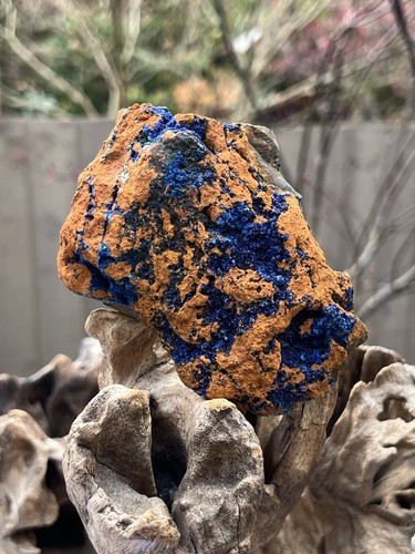 Large azurite malachite - large,