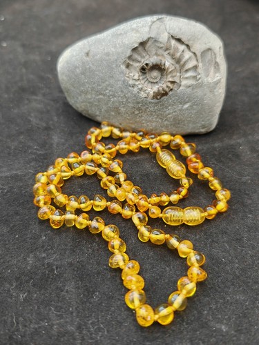 Natural honey baltic amber no2 - natural,