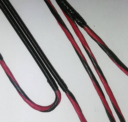 Custom martin archery compound - martin,