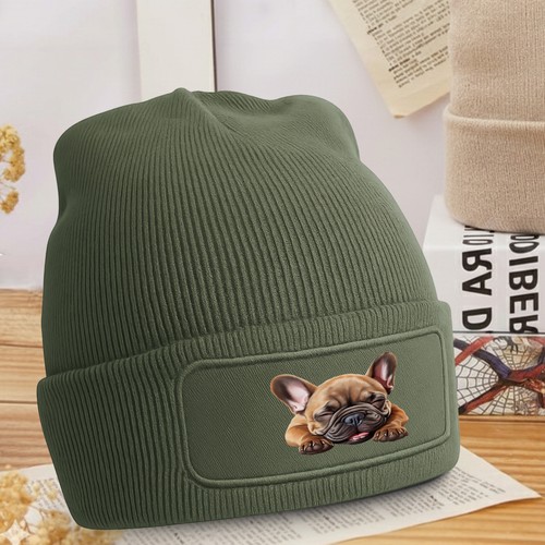 Cute sleeping french bulldog - sleeping,