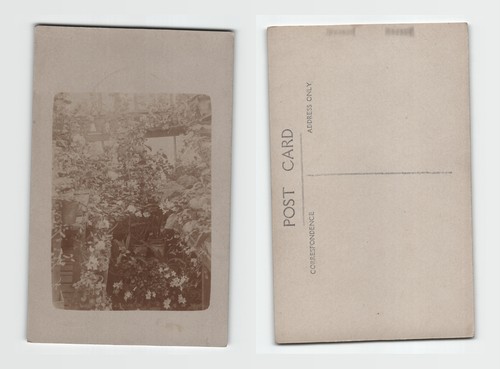 Postcard edwardian - postcard,