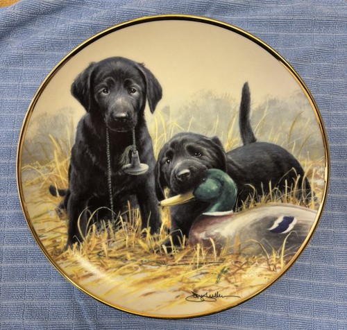 Franklin mint beginners - franklin,