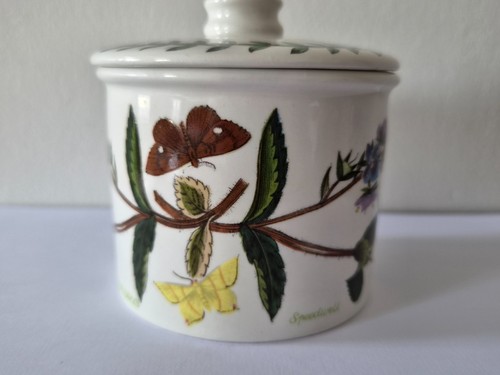 Vintage portmeirion botanic - vintage,