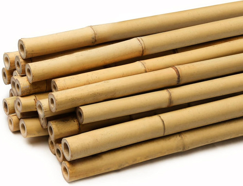 Funkybuys thick bamboo canes - funkybuys,