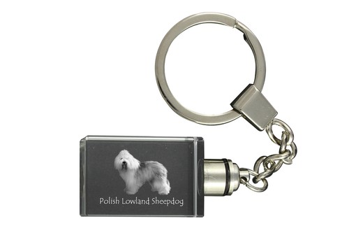 Polish lowland sheepdog pon - polish,