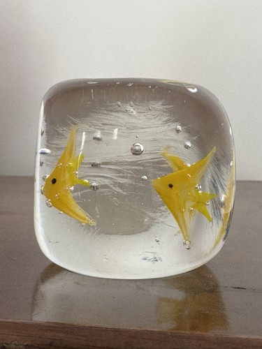 Murano aquarium yellow fish - aquarium,