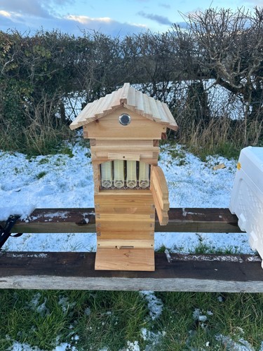 Start size garden wooden - start, up