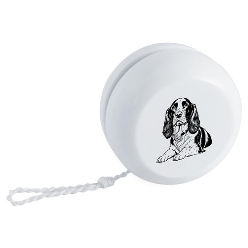 English springer spaniel - 'english,