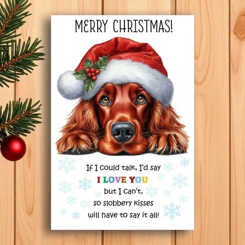 Irish red setter - red,