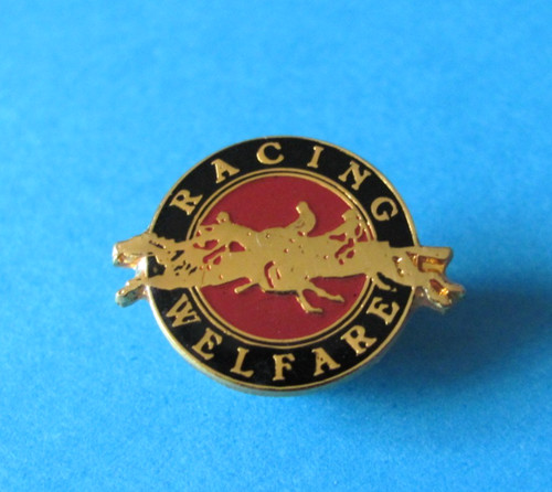 Horse racing welfare pin - racing,