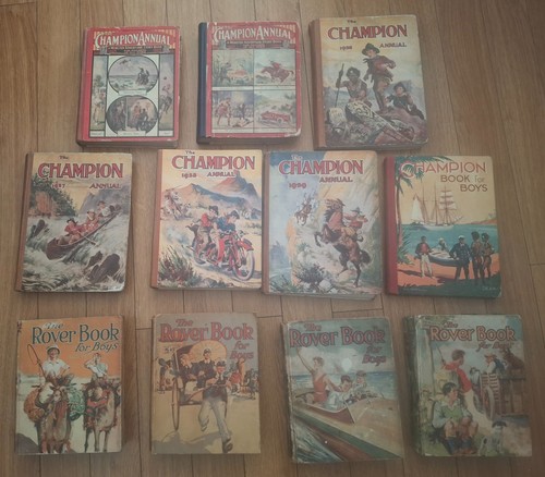 Vintage the rover champion - vintage,