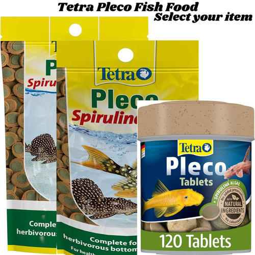 Pleco fish food - pleco,